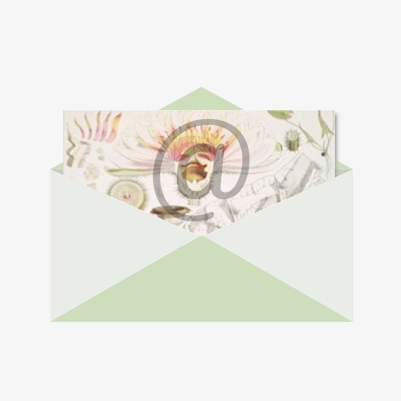 Digital gift card image at the Old Dairy Nursery