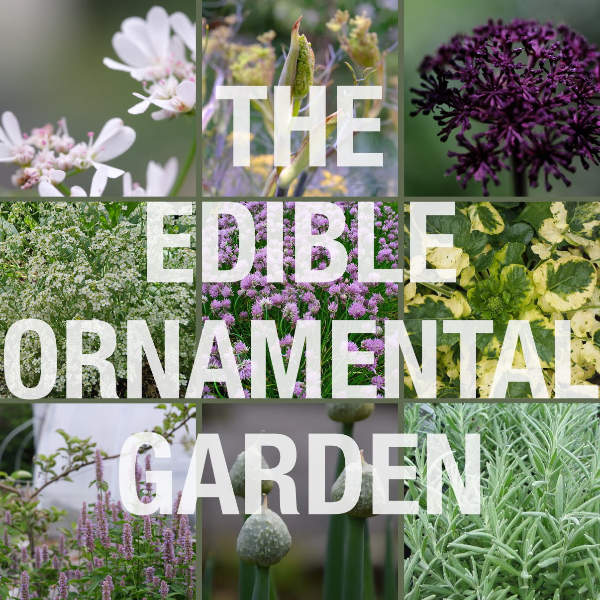 The Edimental Garden