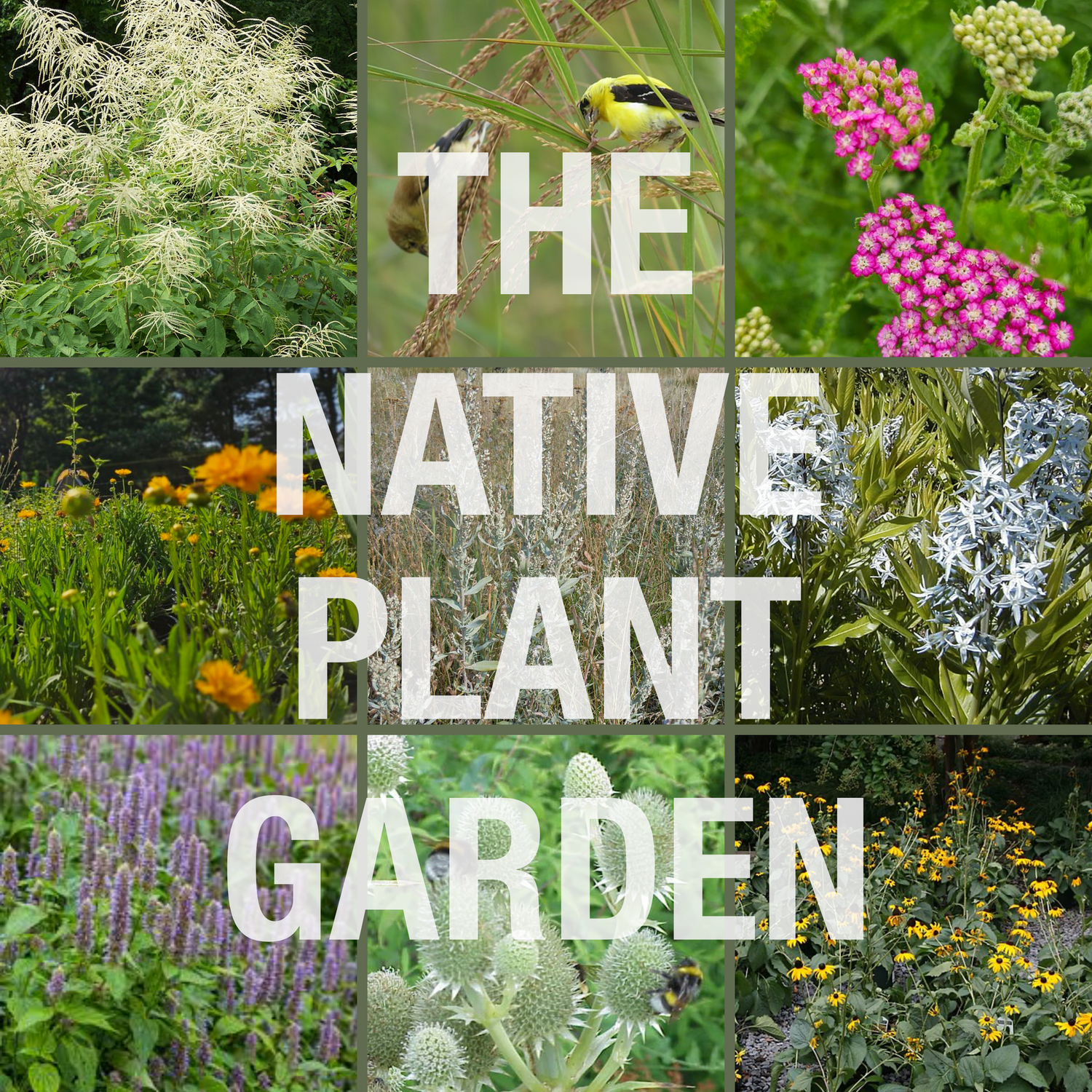 The Hudson Valley Native Garden