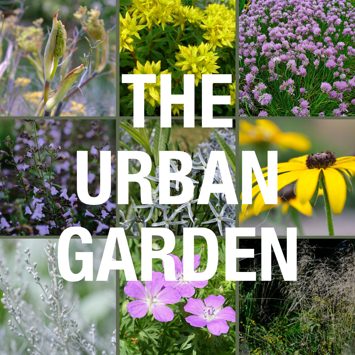 The Urban Garden