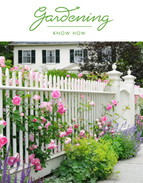 GARDENING KNOW-HOW: 10 Front Yard Plants That Will Add Value To Your Home by Melanie Griffiths