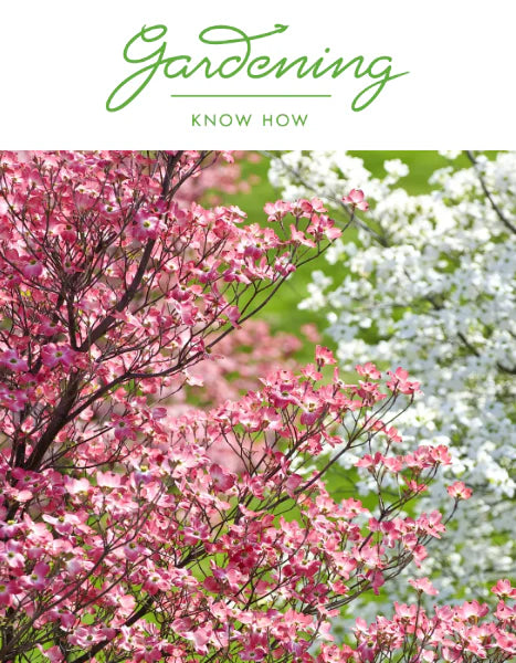 GARDENING KNOW-HOW: 9 Four-Season Trees That Will Steal The Show All Year Long by Melanie Griffiths