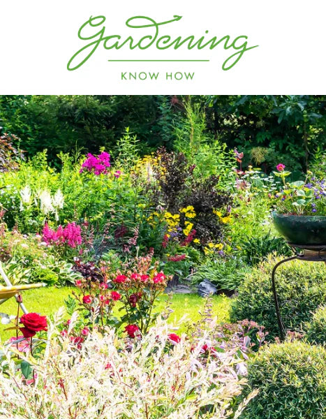 GARDENING KNOW-HOW: Garden Makeover Dos and Don’ts by Melanie Griffiths