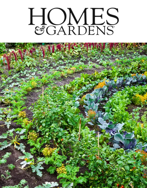 HOMES & GARDENS: Permaculture Gardening Projects by Thomas Rutter