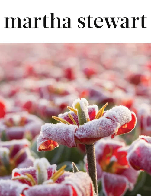 MARTHA STEWART: 9 Secrets to a Successful Winter Garden by Emily Hayes