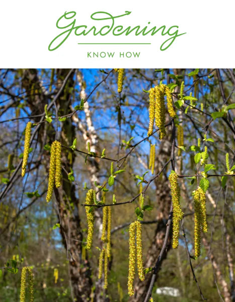 GARDENING KNOW-HOW: The 6 Trees That Should Be In Every Yard by Melanie Griffiths