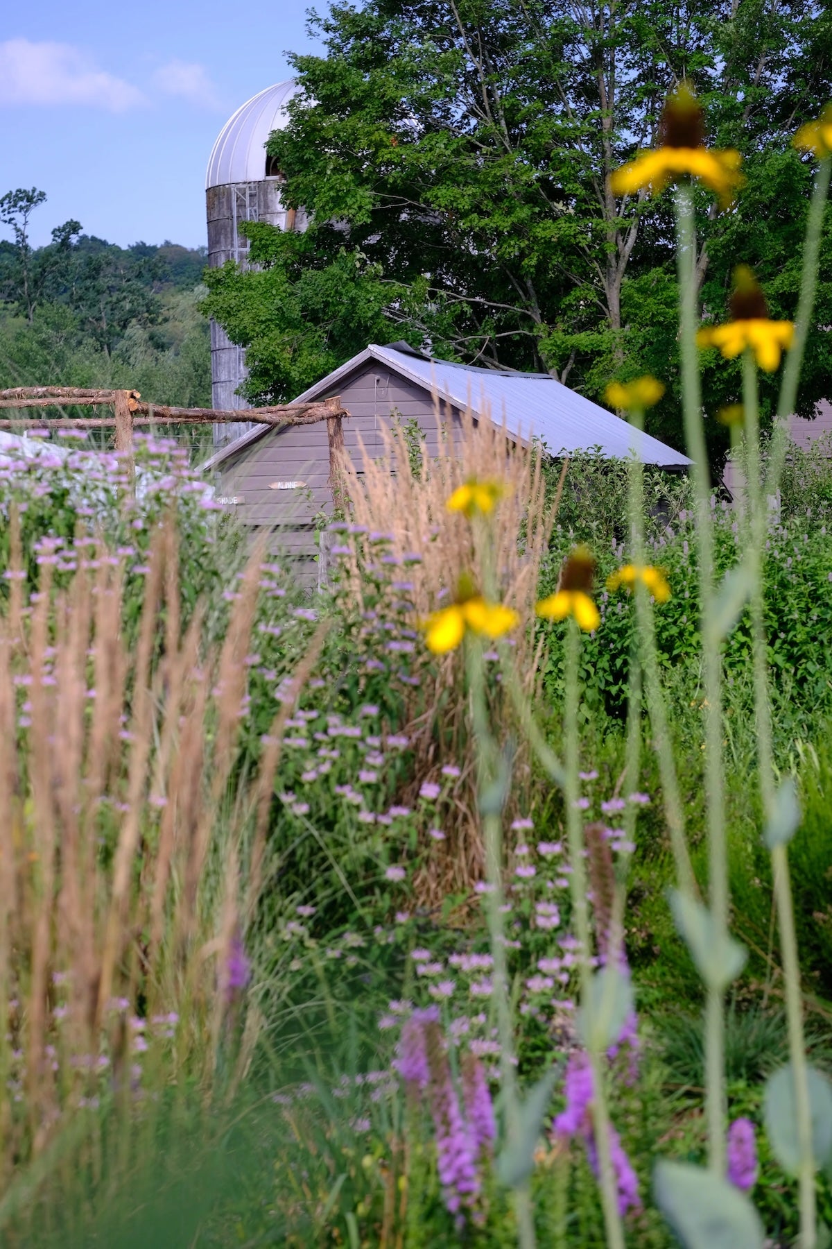 The Old Dairy Nursery in summer
