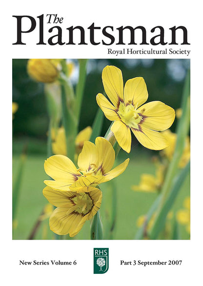 Sisyrinchium macrocarpum (Argentinian blue-eyed grass) cover of the Plantsman Royal Horticultural Society